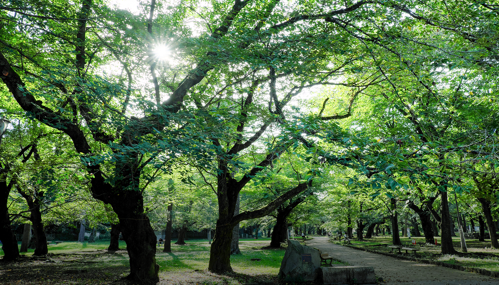 大宮公園（徒歩10分／約780m）