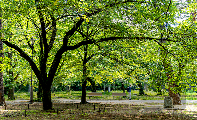 日本の都市公園百選