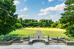 芝生広場