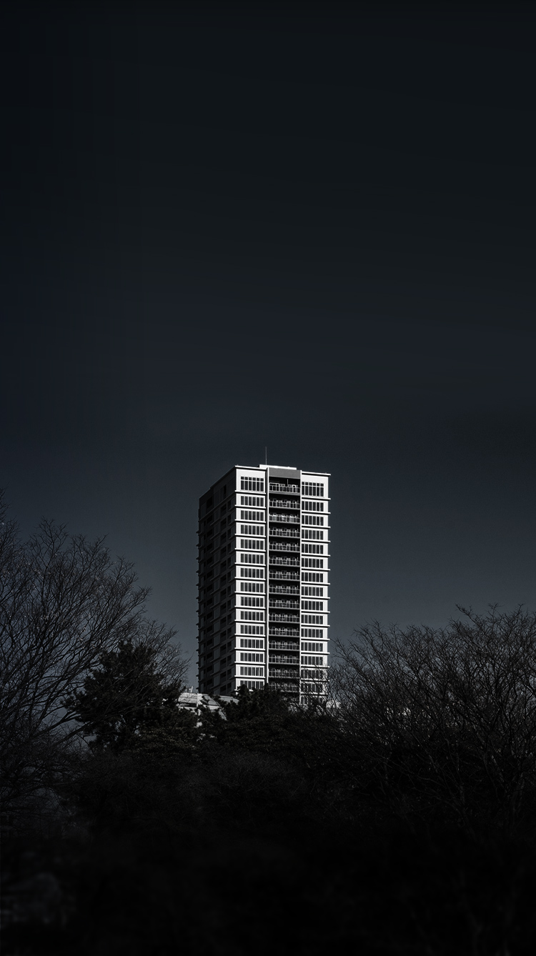 南西側遠景写真